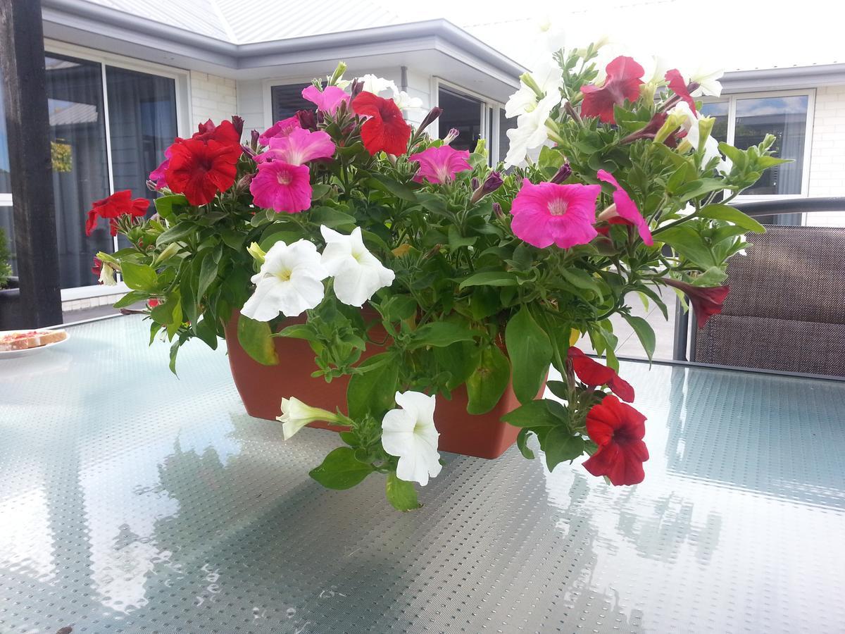 Courtenay B & B Kaiapoi Экстерьер фото